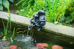 Ubbink Wasserspeier Frosch 2Zubehörbild