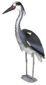 Oase Teichfigur Fischreiher