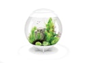 Vorschaubild BiOrb Aquarium HALO 60 MCR