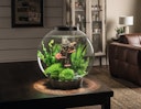 Vorschaubild BiOrb Aquarium CLASSIC 30 LED